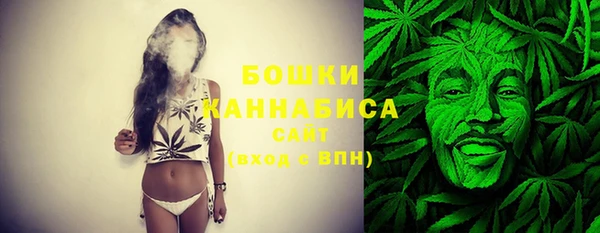 ECSTASY Вяземский