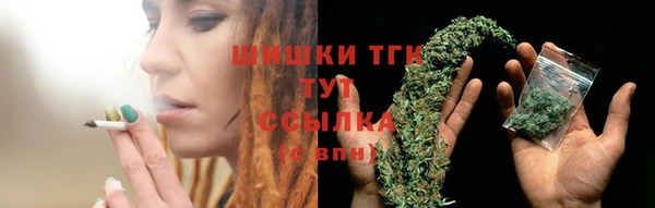 молекула духа Волоколамск