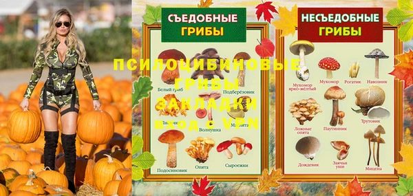 стафф Вязники