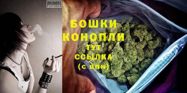 ECSTASY Вяземский